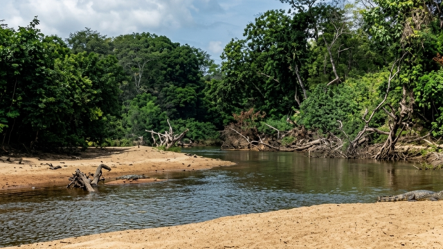Captura-de-pantalla-2026-04-13-125052