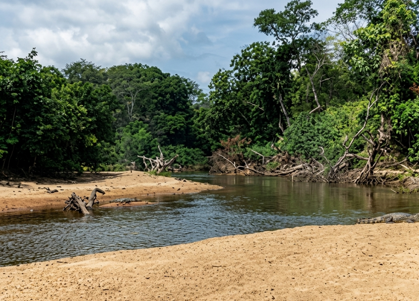 Captura-de-pantalla-2026-04-13-125052