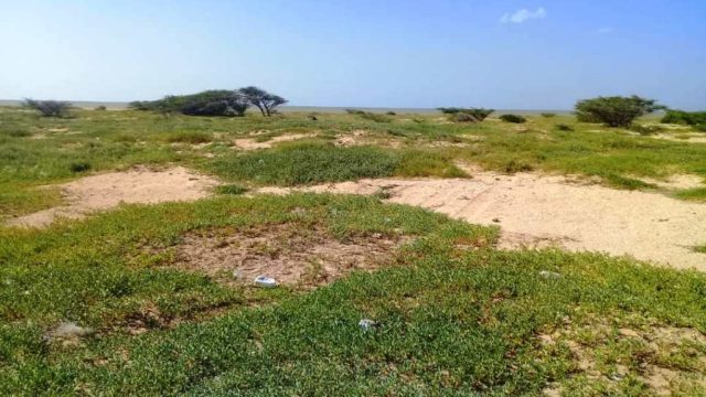 WhatsApp-Image-2022-11-18-at-9.06.39-PM-2