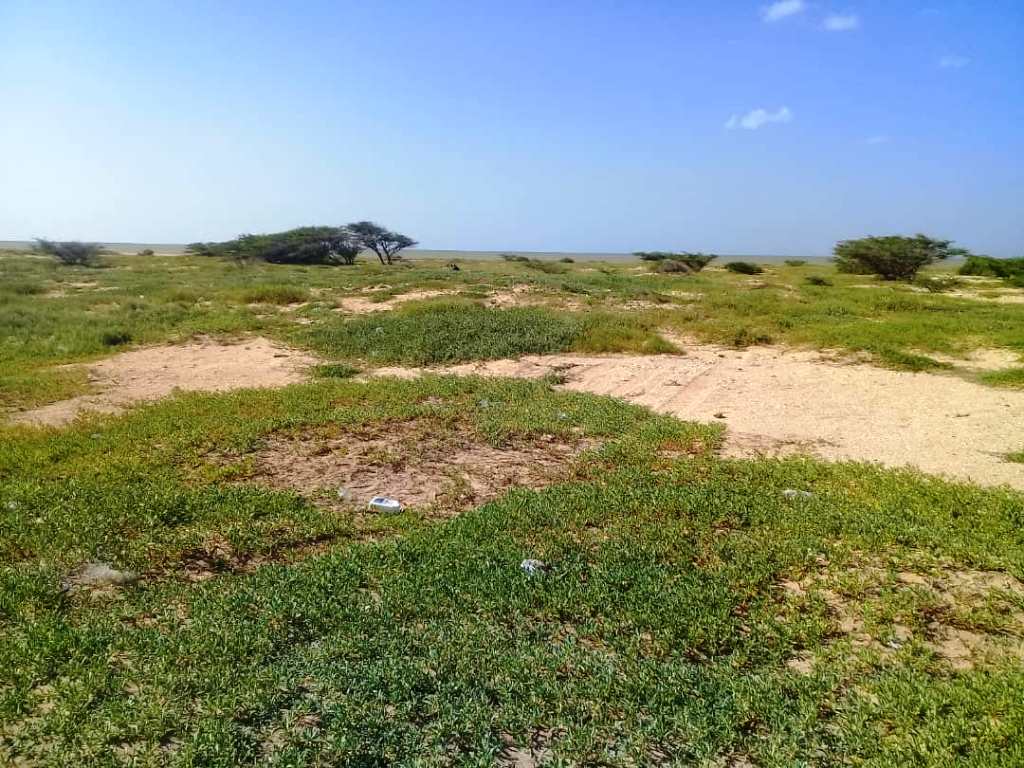 WhatsApp-Image-2022-11-18-at-9.06.39-PM-2