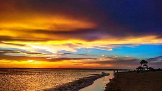 WhatsApp-Image-2022-11-18-at-9.17.14-PM