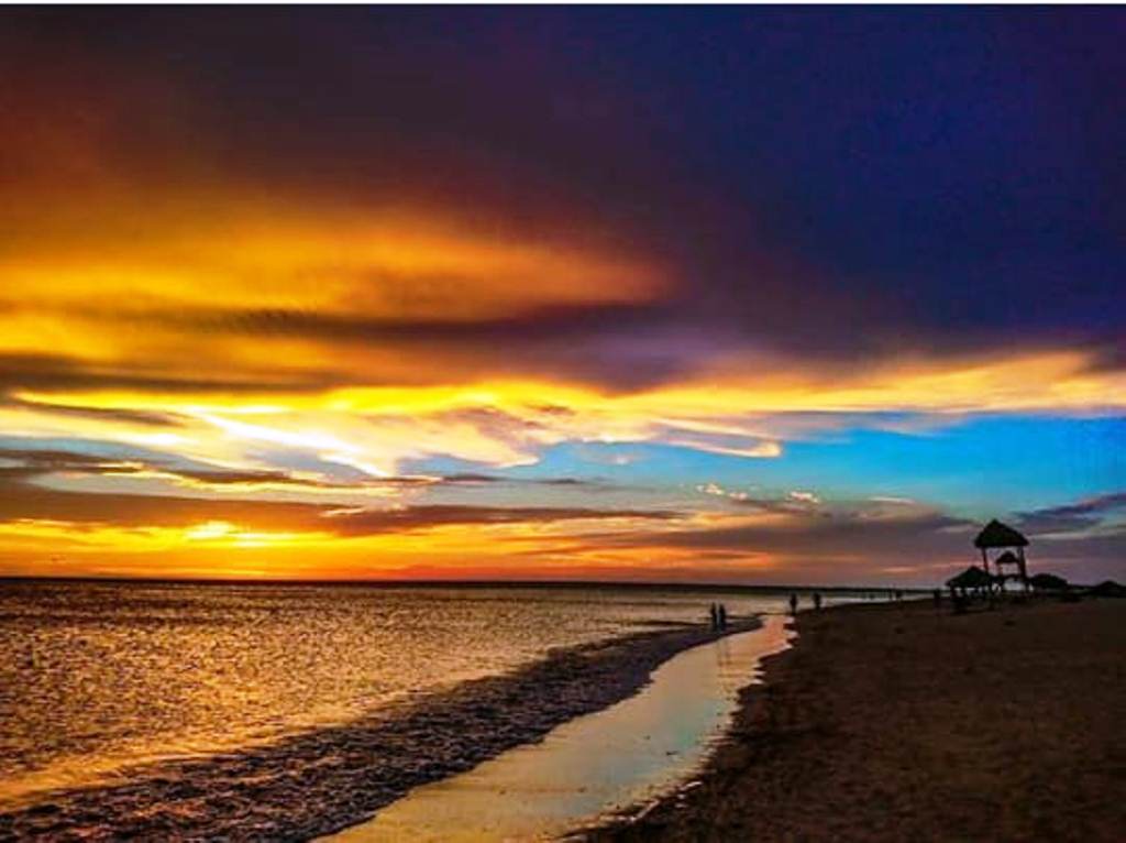 WhatsApp-Image-2022-11-18-at-9.17.14-PM