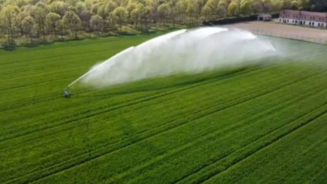 eyJidWNrZXQiOiJzdGF0aWN3Iiwia2V5IjoiaW5tdWVibGVzXC9ncjU2MTc4NDIwMjYwMzI1MDgzNjM1LmpwZWciLCJlZGl0cyI6eyJub3JtYWxpc2UiOnRydWUsInJvdGF0ZSI6MCwicmVzaXplIjp7IndpZHRoIjo5NzksImhlaWdodCI6NzQ