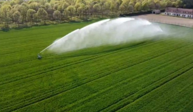 eyJidWNrZXQiOiJzdGF0aWN3Iiwia2V5IjoiaW5tdWVibGVzXC9ncjU2MTc4NDIwMjYwMzI1MDgzNjM1LmpwZWciLCJlZGl0cyI6eyJub3JtYWxpc2UiOnRydWUsInJvdGF0ZSI6MCwicmVzaXplIjp7IndpZHRoIjo5NzksImhlaWdodCI6NzQ