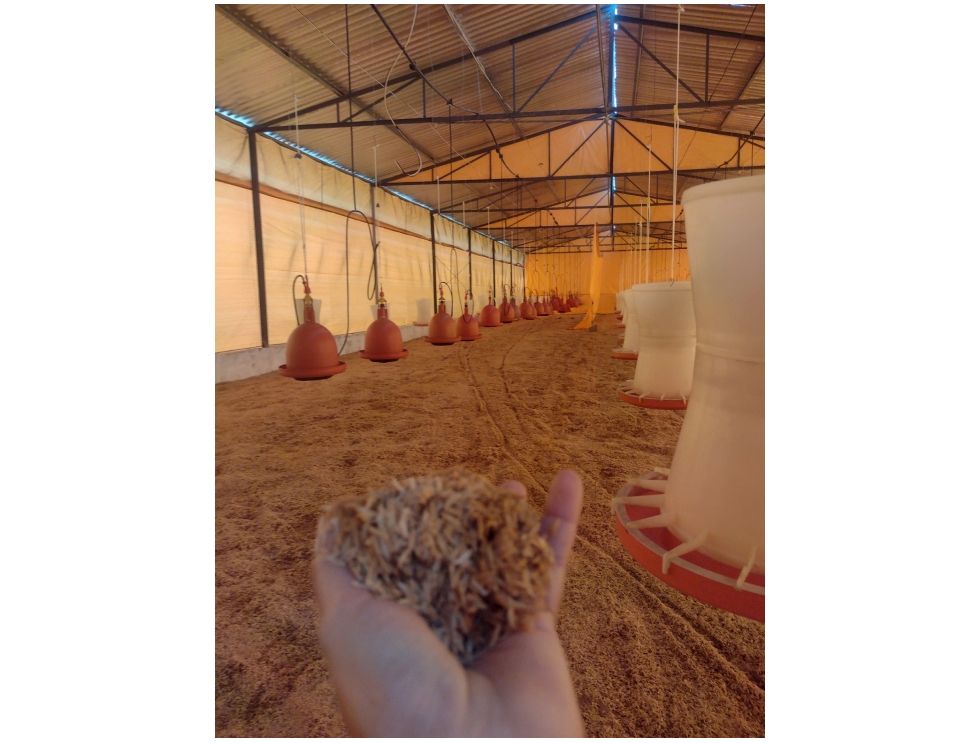 foto-2-1